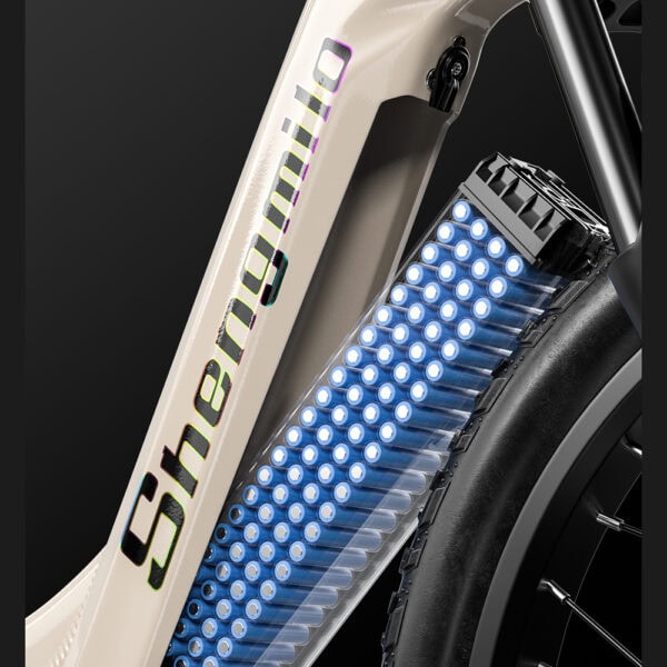 Takapyörän vaihdejärjestelmä