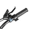 throttle-1.jpg