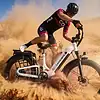 Samebike-crest-kuva7