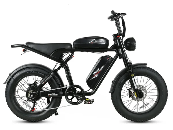 SAMEBIKE-M20-III-kuva1