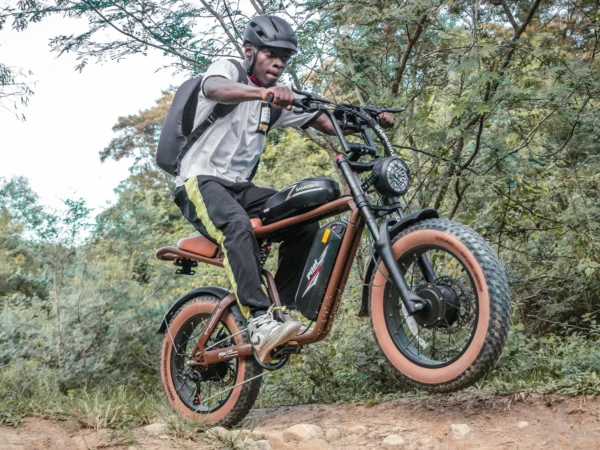 SAMEBIKE-M20-III-kuva10