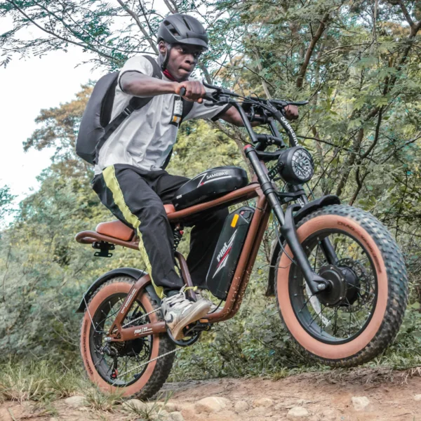 SAMEBIKE-M20-III-kuva10