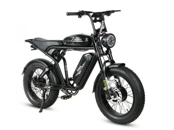 SAMEBIKE-M20-III-kuva2