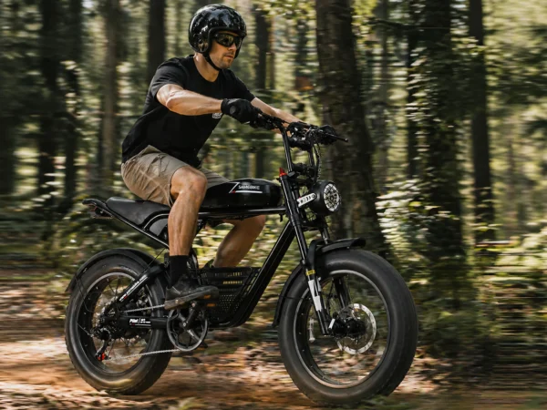 SAMEBIKE-M20-kuva11