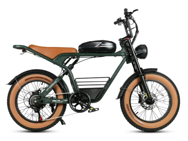 SAMEBIKE-M20-kuva5
