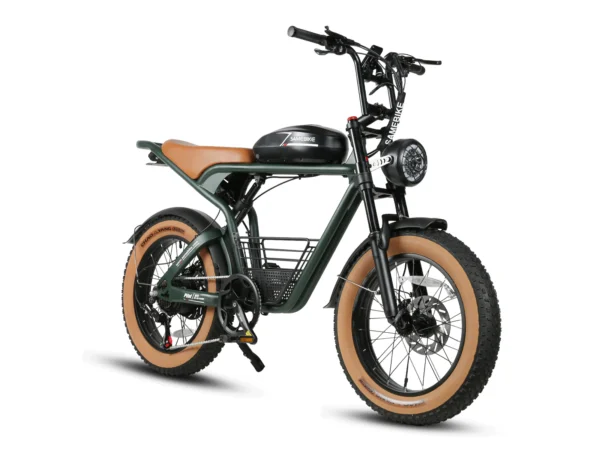 SAMEBIKE-M20-kuva6